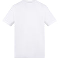 Arctic White