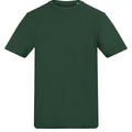Bottle Green
