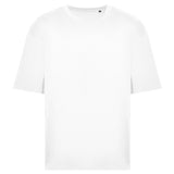 Arctic White