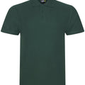 Bottle Green