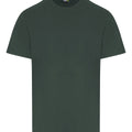 Bottle Green